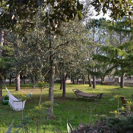 Lavanda Apartment - Villaggio Di Mary Locorotondo Exteriér fotografie